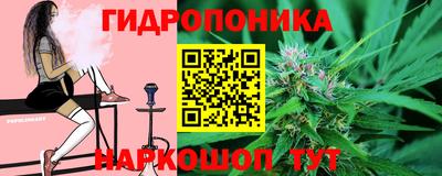 ешки Краснодар