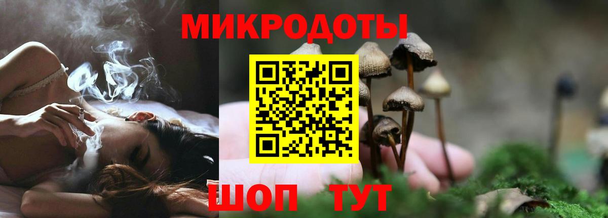 Галлюциногенные грибы MAGIC MUSHROOMS  Вход с VPN  Псилоцибиновые грибы прущие грибы  Выборг 